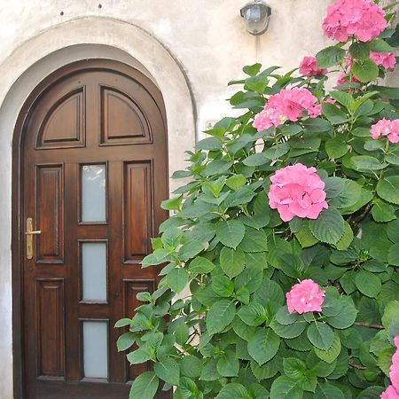 B&B Casa Antonia Trentinara Exteriér fotografie