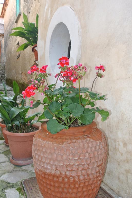 B&B Casa Antonia Trentinara Exteriér fotografie