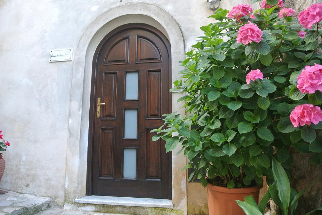 B&B Casa Antonia Trentinara Exteriér fotografie