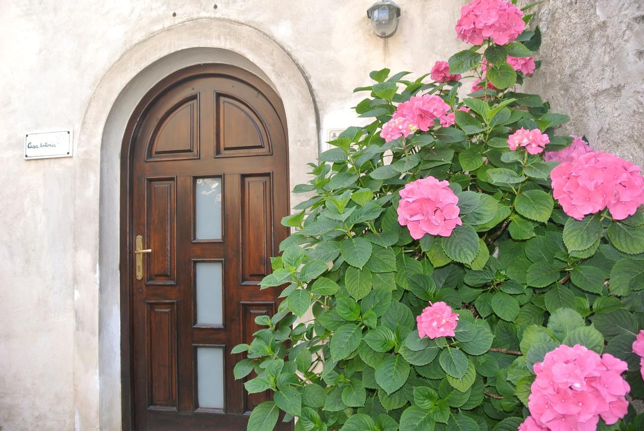 B&B Casa Antonia Trentinara Exteriér fotografie